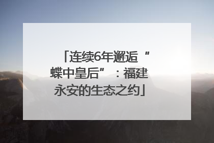 连续6年邂逅“蝶中皇后”：福建永安的生态之约