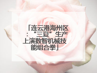连云港海州区：“三夏”生产上演数智机械技能组合拳