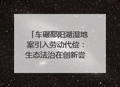 车碾鄱阳湖湿地案引入劳动代偿：生态法治在创新尝试｜有一说一