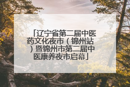 辽宁省第二届中医药文化夜市（锦州站）暨锦州市第二届中医康养夜市启幕