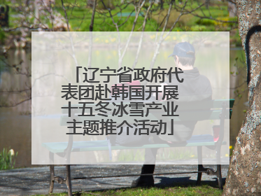 辽宁省政府代表团赴韩国开展十五冬冰雪产业主题推介活动