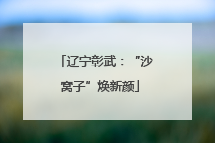辽宁彰武：“沙窝子”焕新颜