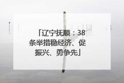 辽宁抚顺：38条举措稳经济、促振兴、勇争先