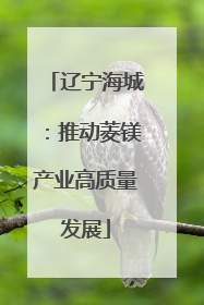 辽宁海城：推动菱镁产业高质量发展