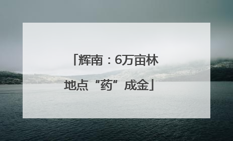 辉南：6万亩林地点“药”成金