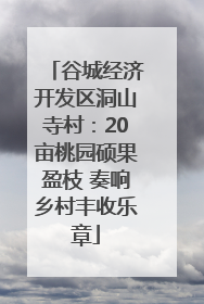 谷城经济开发区洞山寺村：20亩桃园硕果盈枝 奏响乡村丰收乐章