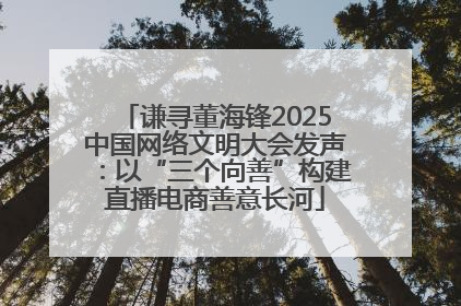 谦寻董海锋2025中国网络文明大会发声：以“三个向善”构建直播电商善意长河