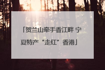 贺兰山牵手香江畔 宁夏特产“走红”香港