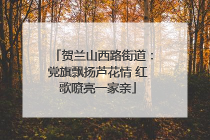 贺兰山西路街道：党旗飘扬芦花情 红歌嘹亮一家亲