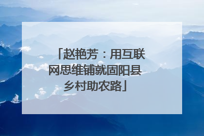 赵艳芳：用互联网思维铺就固阳县乡村助农路