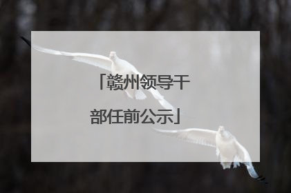 赣州领导干部任前公示