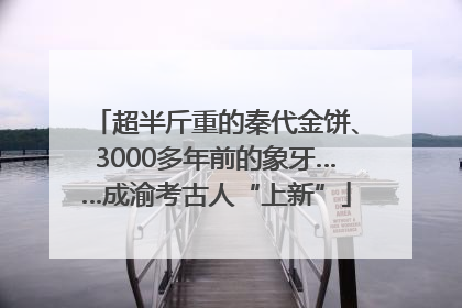 超半斤重的秦代金饼、3000多年前的象牙……成渝考古人“上新”