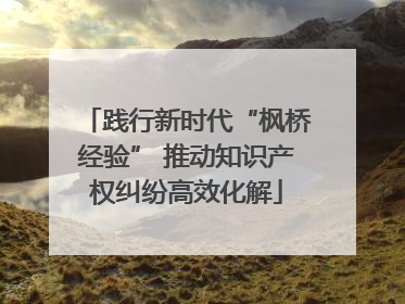 践行新时代“枫桥经验” 推动知识产权纠纷高效化解