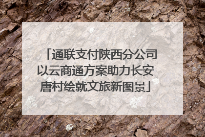 通联支付陕西分公司以云商通方案助力长安唐村绘就文旅新图景