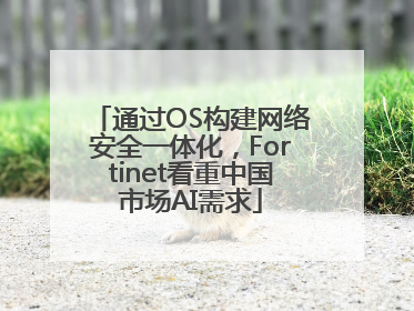 通过OS构建网络安全一体化，Fortinet看重中国市场AI需求