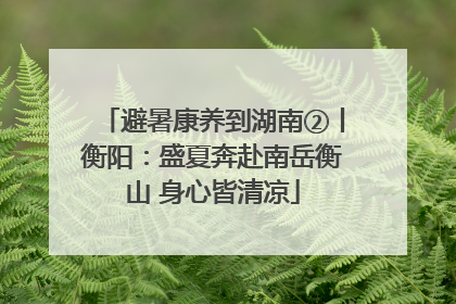 避暑康养到湖南②丨衡阳：盛夏奔赴南岳衡山 身心皆清凉
