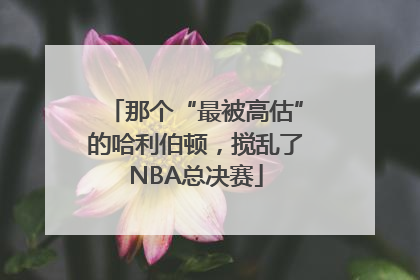 那个“最被高估”的哈利伯顿，搅乱了NBA总决赛