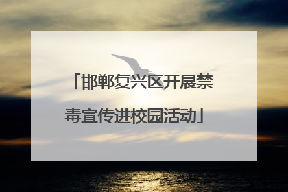 邯郸复兴区开展禁毒宣传进校园活动