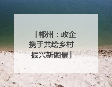 郴州：政企携手共绘乡村振兴新图景