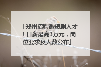 郑州招聘微短剧人才！日薪最高3万元，岗位要求及人数公布