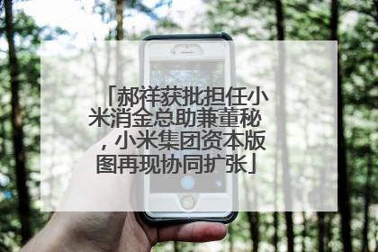 郝祥获批担任小米消金总助兼董秘，小米集团资本版图再现协同扩张