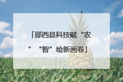 郧西县科技赋“农”“智”绘新画卷