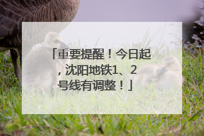 重要提醒！今日起，沈阳地铁1、2 号线有调整！