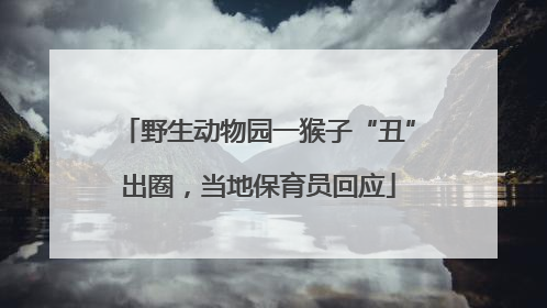野生动物园一猴子“丑”出圈，当地保育员回应