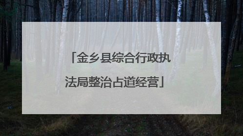 金乡县综合行政执法局整治占道经营