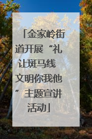 金家岭街道开展“礼让斑马线 文明你我他”主题宣讲活动