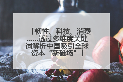 韧性、科技、消费……透过多维度关键词解析中国吸引全球资本“新磁场”