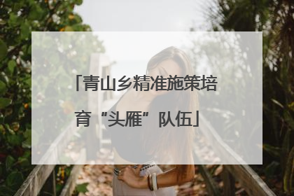 青山乡精准施策培育“头雁”队伍
