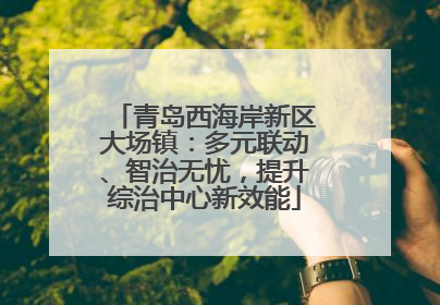 青岛西海岸新区大场镇：多元联动、智治无忧，提升综治中心新效能