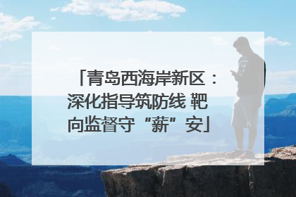 青岛西海岸新区：深化指导筑防线 靶向监督守“薪”安