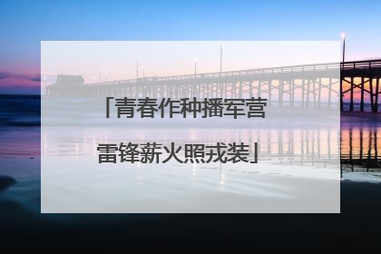 青春作种播军营 雷锋薪火照戎装