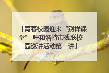 青春校园迎来“别样课堂” 呼和浩特市残联校园巡讲活动第二讲