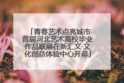 青春艺术点亮城市 首届河北艺术高校毕业作品联展在新汇文·文化创意体验中心开幕