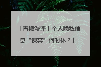 青椒漫评丨个人隐私信息“裸奔”何时休？