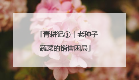 青耕记③｜老种子蔬菜的销售困局