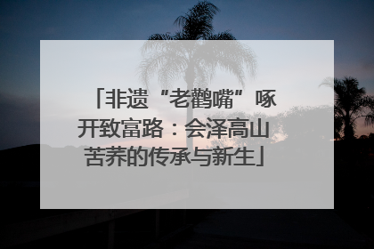 非遗“老鹳嘴”啄开致富路：会泽高山苦荞的传承与新生