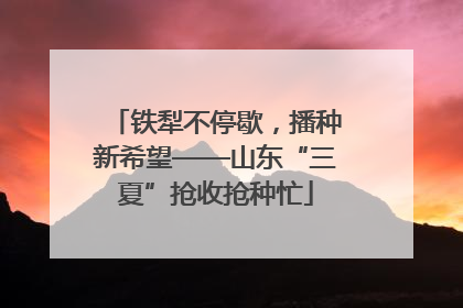 铁犁不停歇，播种新希望——山东“三夏”抢收抢种忙