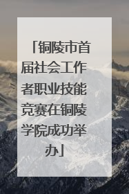 铜陵市首届社会工作者职业技能竞赛在铜陵学院成功举办