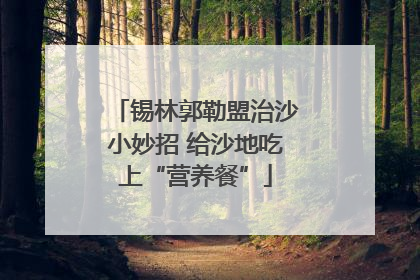 锡林郭勒盟治沙小妙招 给沙地吃上“营养餐”