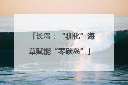 长岛：“驯化”海草赋能“零碳岛”