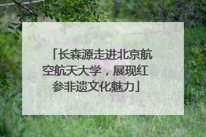 长森源走进北京航空航天大学，展现红参非遗文化魅力
