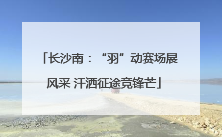 长沙南：“羽”动赛场展风采 汗洒征途竞锋芒