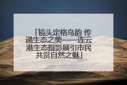 镜头定格鸟韵 传递生态之美——连云港生态摄影展引市民共赏自然之魅