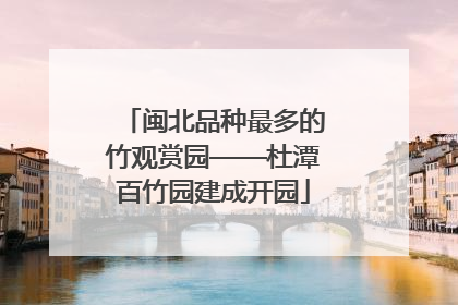 闽北品种最多的竹观赏园——杜潭百竹园建成开园