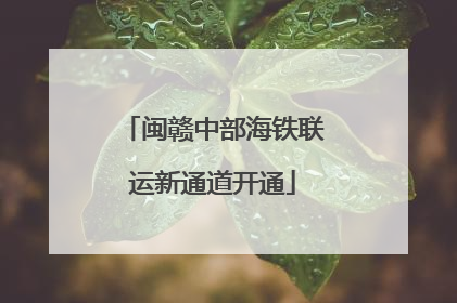 闽赣中部海铁联运新通道开通
