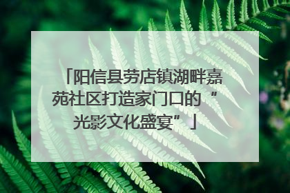 阳信县劳店镇湖畔嘉苑社区打造家门口的“光影文化盛宴”